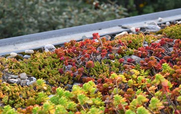 the cost of Charnage green roof installation